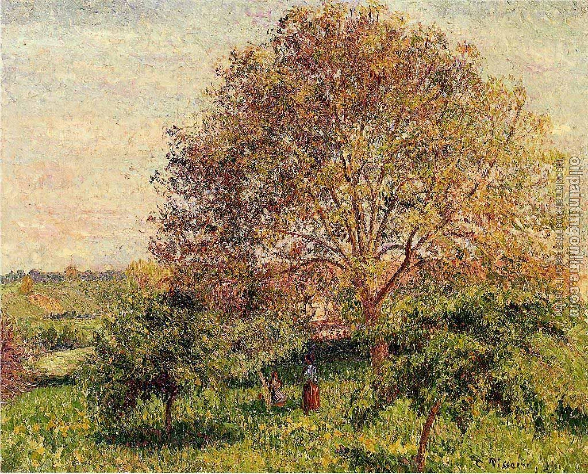 Pissarro, Camille - Walnut Tree in Spring